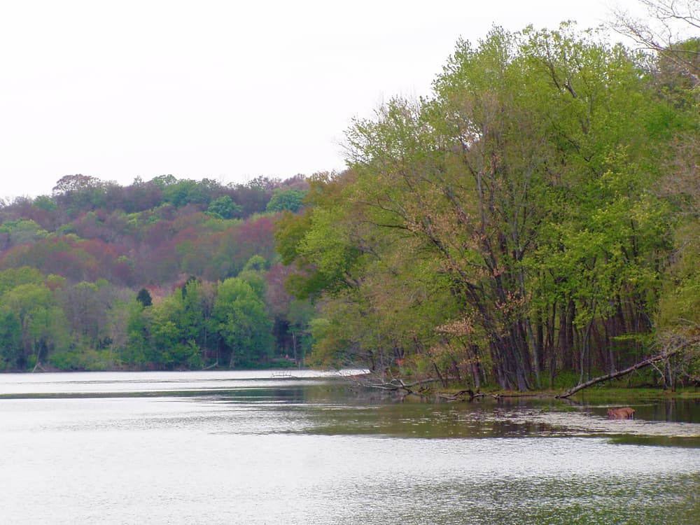 Radnor Lake and surrounding woodland